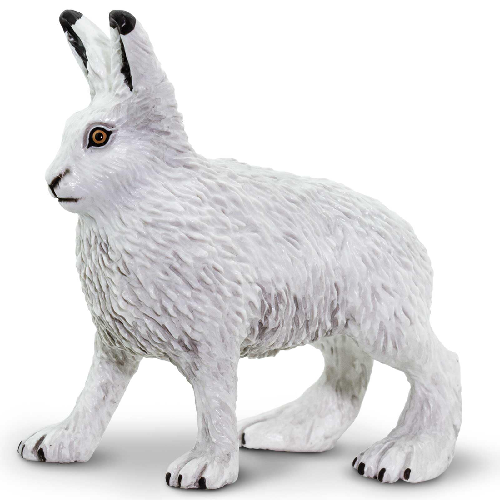 Amazon.com: Safari Ltd. Arctic Hare Figurine - Detailed 2.5